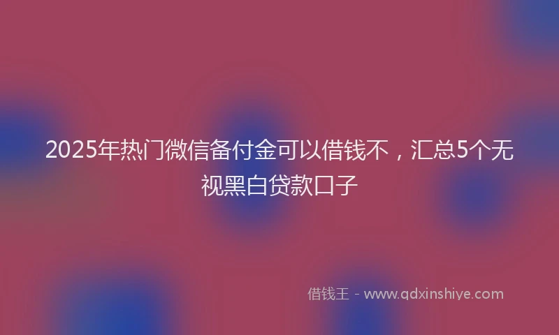 2025年热门微信备付金可以借钱不，汇总5个无视黑白贷款口子