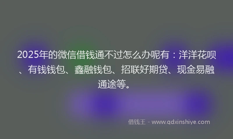2025年的微信借钱通不过怎么办呢有：洋洋花呗、有钱钱包、鑫融钱包、招联好期贷、现金易融通途等。