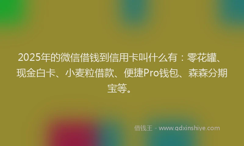 2025年的微信借钱到信用卡叫什么有：零花罐、现金白卡、小麦粒借款、便捷Pro钱包、森森分期宝等。