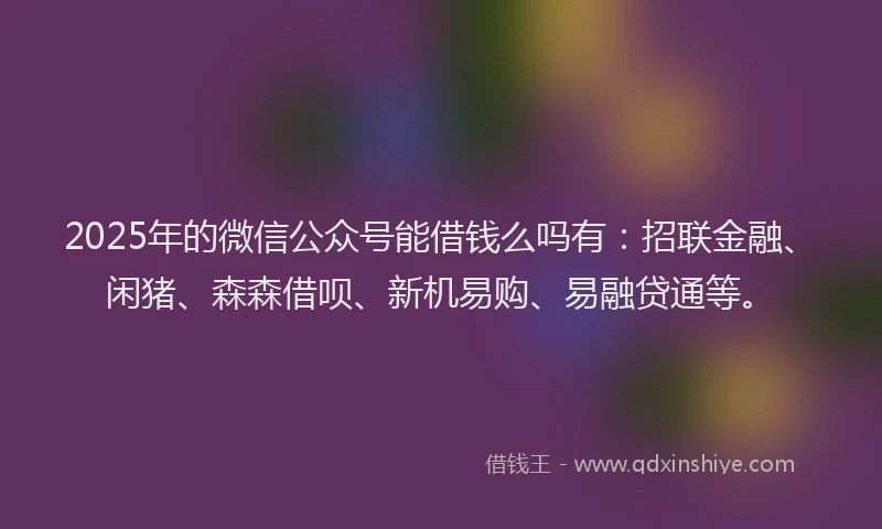 2025年的微信公众号能借钱么吗有：招联金融、闲猪、森森借呗、新机易购、易融贷通等。