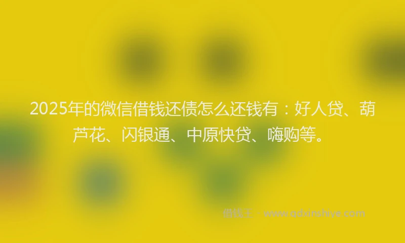 2025年的微信借钱还债怎么还钱有：好人贷、葫芦花、闪银通、中原快贷、嗨购等。