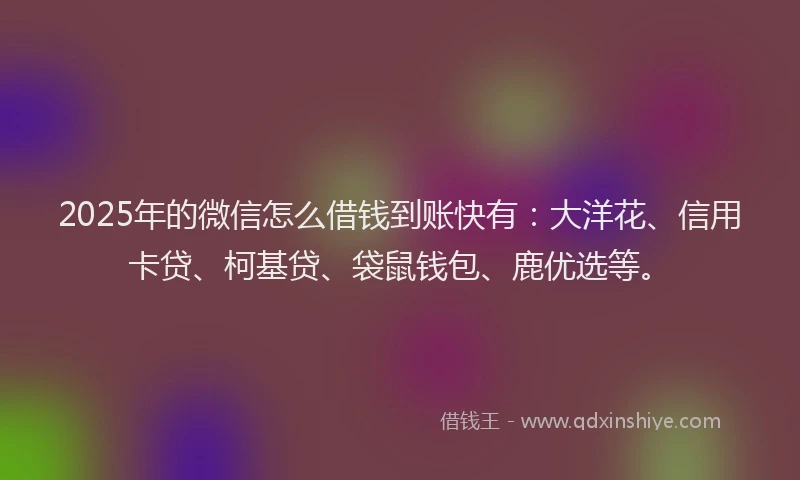 2025年的微信怎么借钱到账快有：大洋花、信用卡贷、柯基贷、袋鼠钱包、鹿优选等。