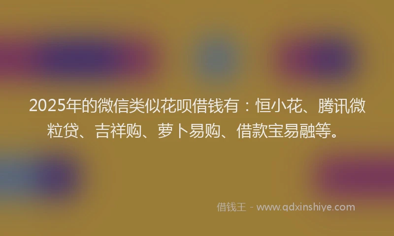 2025年的微信类似花呗借钱有：恒小花、腾讯微粒贷、吉祥购、萝卜易购、借款宝易融等。