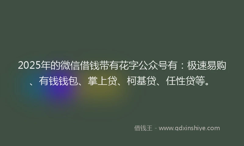 2025年的微信借钱带有花字公众号有：极速易购、有钱钱包、掌上贷、柯基贷、任性贷等。