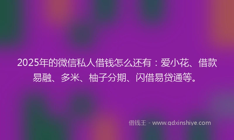 2025年的微信私人借钱怎么还有：爱小花、借款易融、多米、柚子分期、闪借易贷通等。
