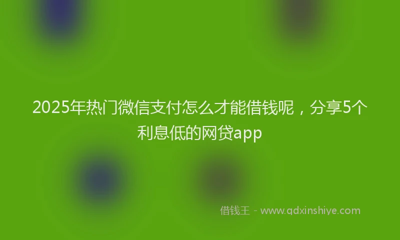 2025年热门微信支付怎么才能借钱呢，分享5个利息低的网贷app
