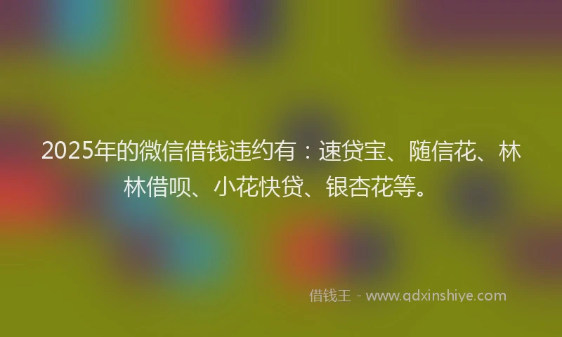 2025年的微信借钱违约有：速贷宝、随信花、林林借呗、小花快贷、银杏花等。