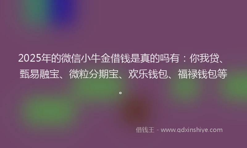 2025年的微信小牛金借钱是真的吗有：你我贷、甄易融宝、微粒分期宝、欢乐钱包、福禄钱包等。