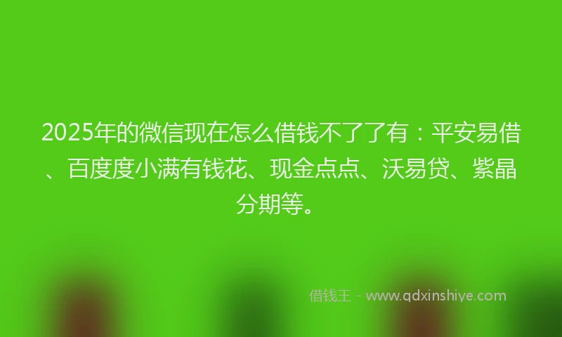 2025年的微信现在怎么借钱不了了有：平安易借、百度度小满有钱花、现金点点、沃易贷、紫晶分期等。