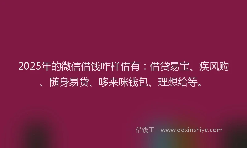2025年的微信借钱咋样借有：借贷易宝、疾风购、随身易贷、哆来咪钱包、理想给等。