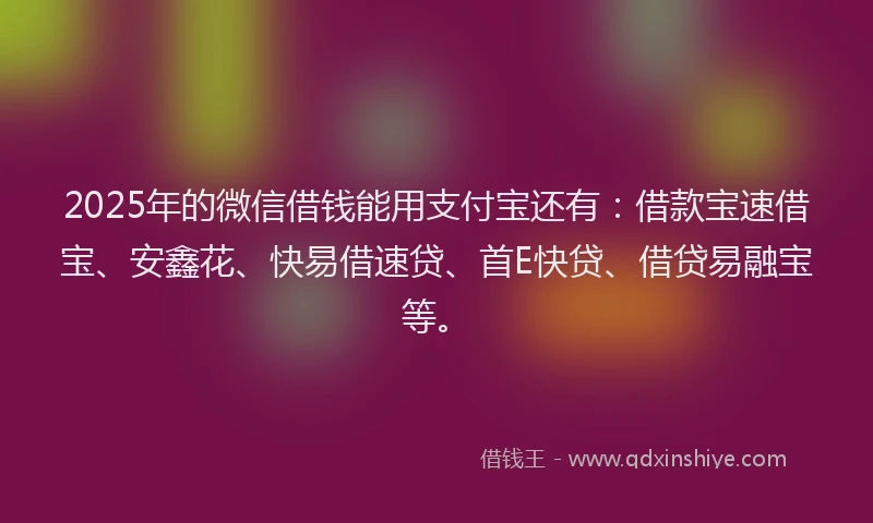 2025年的微信借钱能用支付宝还有：借款宝速借宝、安鑫花、快易借速贷、首E快贷、借贷易融宝等。