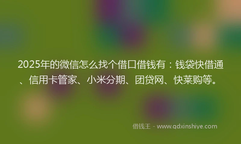 2025年的微信怎么找个借口借钱有：钱袋快借通、信用卡管家、小米分期、团贷网、快莱购等。