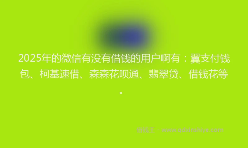 2025年的微信有没有借钱的用户啊有：翼支付钱包、柯基速借、森森花呗通、翡翠贷、借钱花等。