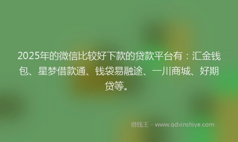 2025年的微信比较好下款的贷款平台有：汇金钱包、星梦借款通、钱袋易融途、一川商城、好期贷等。