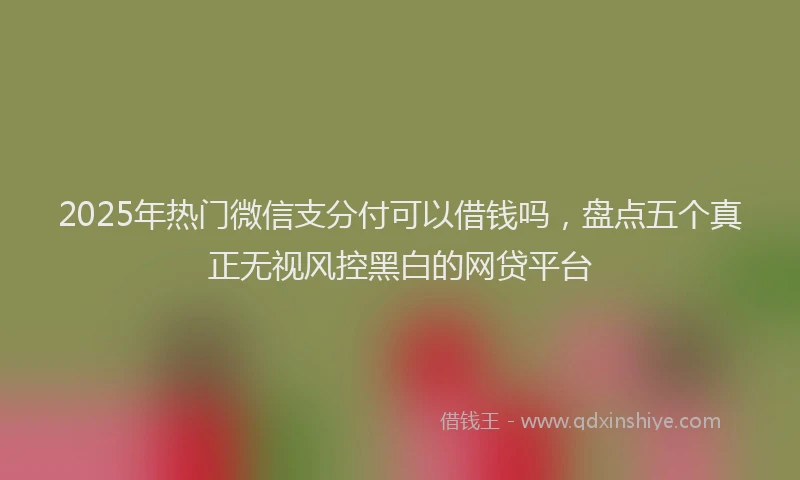 2025年热门微信支分付可以借钱吗，盘点五个真正无视风控黑白的网贷平台