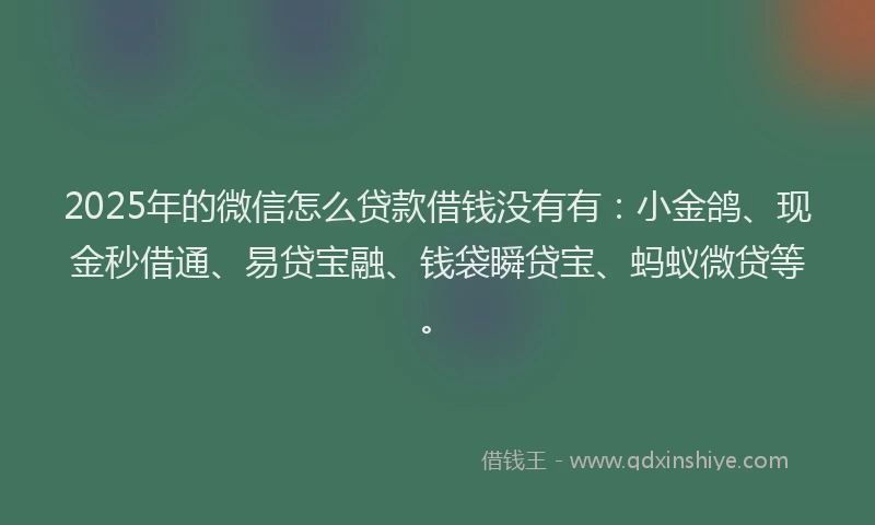 2025年的微信怎么贷款借钱没有有：小金鸽、现金秒借通、易贷宝融、钱袋瞬贷宝、蚂蚁微贷等。