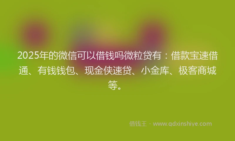 2025年的微信可以借钱吗微粒贷有：借款宝速借通、有钱钱包、现金侠速贷、小金库、极客商城等。