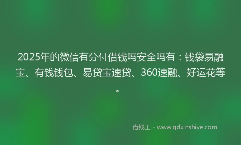 2025年的微信有分付借钱吗安全吗有：钱袋易融宝、有钱钱包、易贷宝速贷、360速融、好运花等。