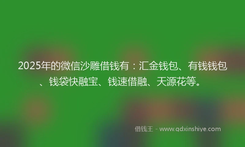 2025年的微信沙雕借钱有：汇金钱包、有钱钱包、钱袋快融宝、钱速借融、天源花等。