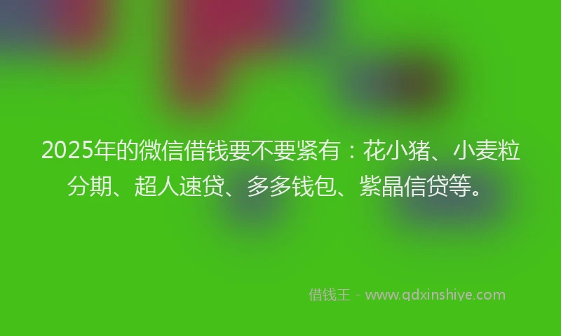 2025年的微信借钱要不要紧有：花小猪、小麦粒分期、超人速贷、多多钱包、紫晶信贷等。