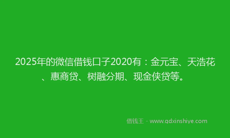 2025年的微信借钱口子2020有：金元宝、天浩花、惠商贷、树融分期、现金侠贷等。