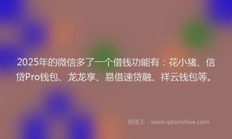 2025年的微信多了一个借钱功能有：花小猪、信贷Pro钱包、龙龙享、易借速贷融、祥云钱包等。
