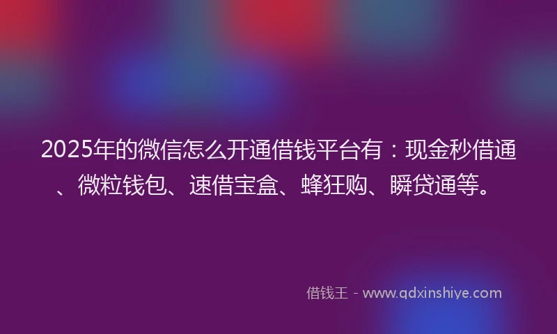 2025年的微信怎么开通借钱平台有：现金秒借通、微粒钱包、速借宝盒、蜂狂购、瞬贷通等。