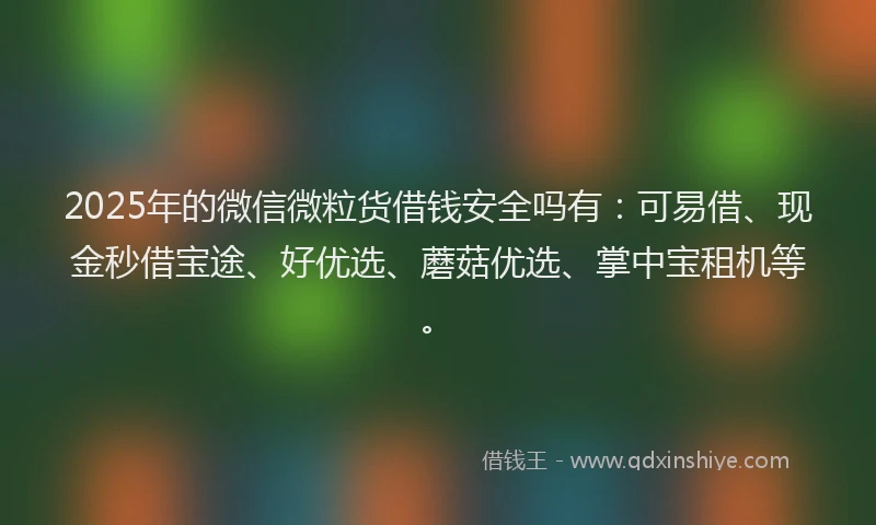 2025年的微信微粒货借钱安全吗有：可易借、现金秒借宝途、好优选、蘑菇优选、掌中宝租机等。