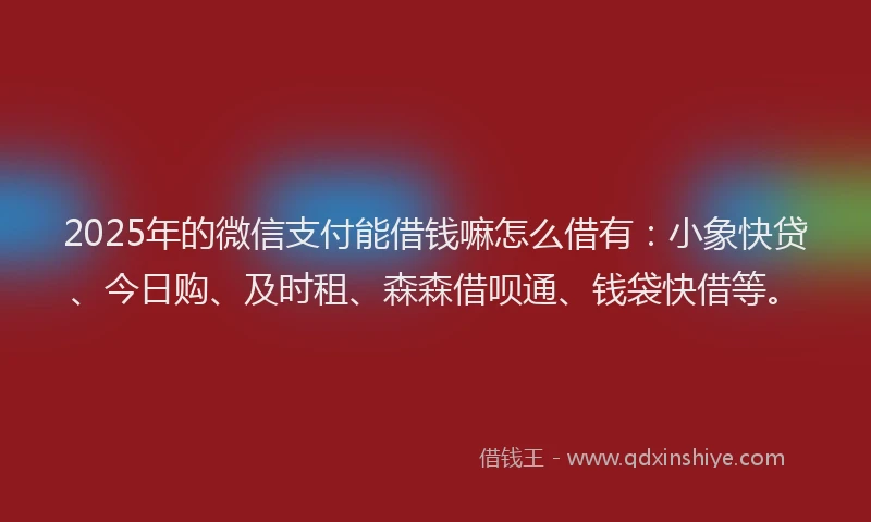 2025年的微信支付能借钱嘛怎么借有：小象快贷、今日购、及时租、森森借呗通、钱袋快借等。