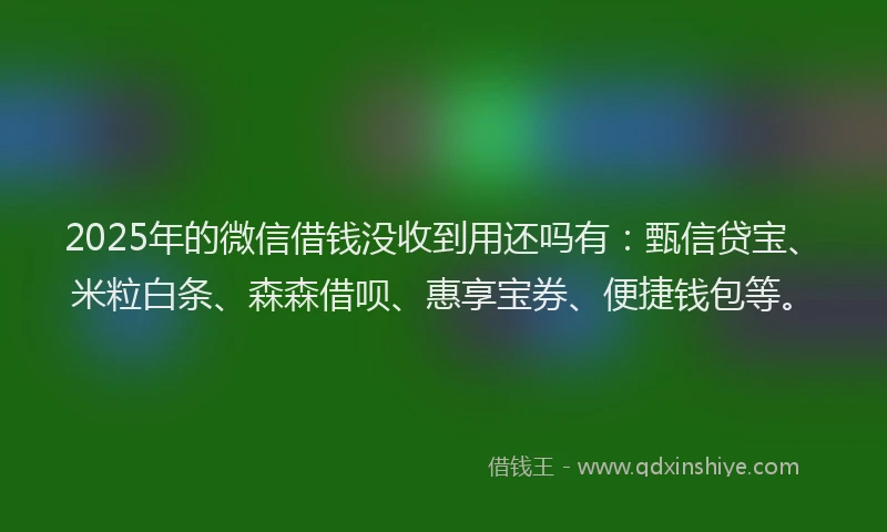 2025年的微信借钱没收到用还吗有：甄信贷宝、米粒白条、森森借呗、惠享宝券、便捷钱包等。