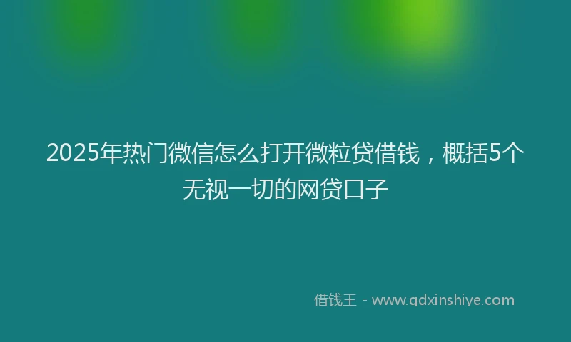2025年热门微信怎么打开微粒贷借钱，概括5个无视一切的网贷口子