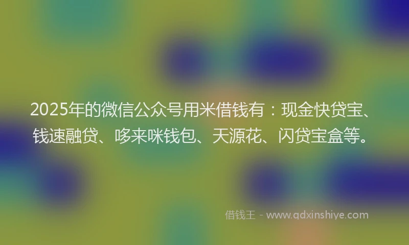 2025年的微信公众号用米借钱有：现金快贷宝、钱速融贷、哆来咪钱包、天源花、闪贷宝盒等。