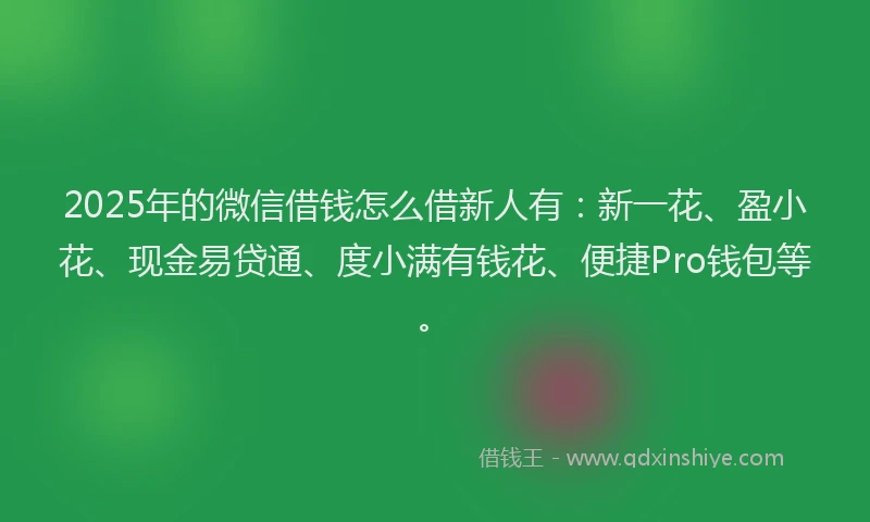 2025年的微信借钱怎么借新人有：新一花、盈小花、现金易贷通、度小满有钱花、便捷Pro钱包等。