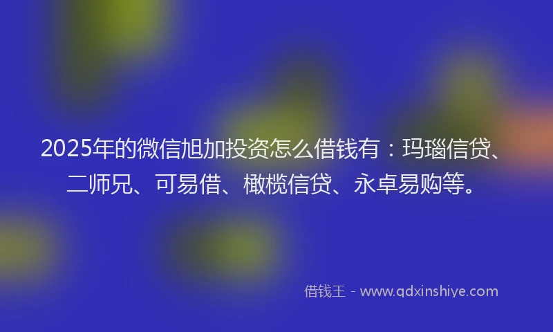 2025年的微信旭加投资怎么借钱有：玛瑙信贷、二师兄、可易借、橄榄信贷、永卓易购等。