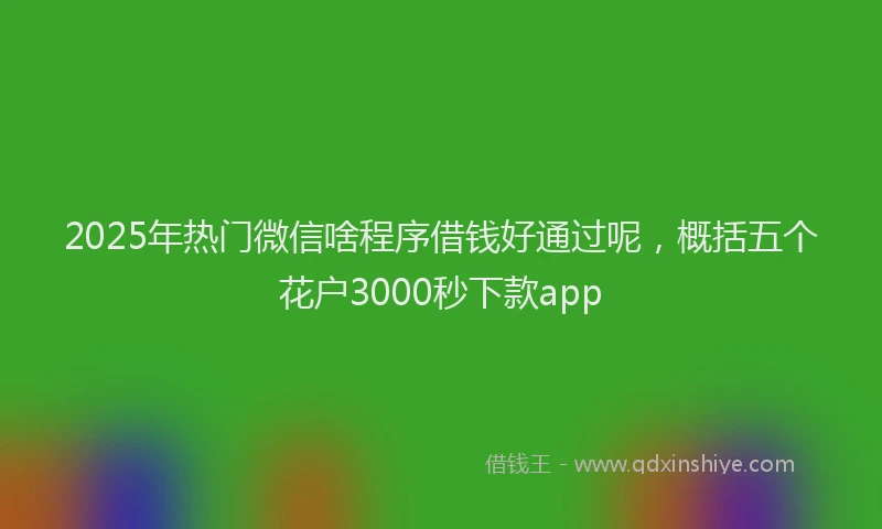 2025年热门微信啥程序借钱好通过呢，概括五个花户3000秒下款app