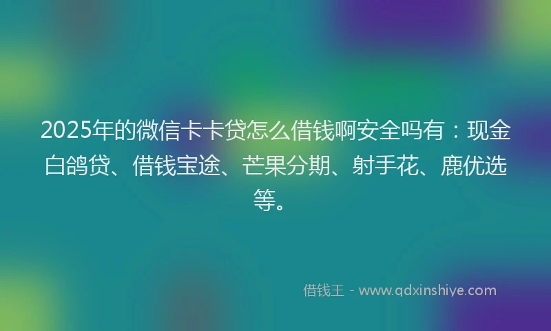 2025年的微信卡卡贷怎么借钱啊安全吗有：现金白鸽贷、借钱宝途、芒果分期、射手花、鹿优选等。