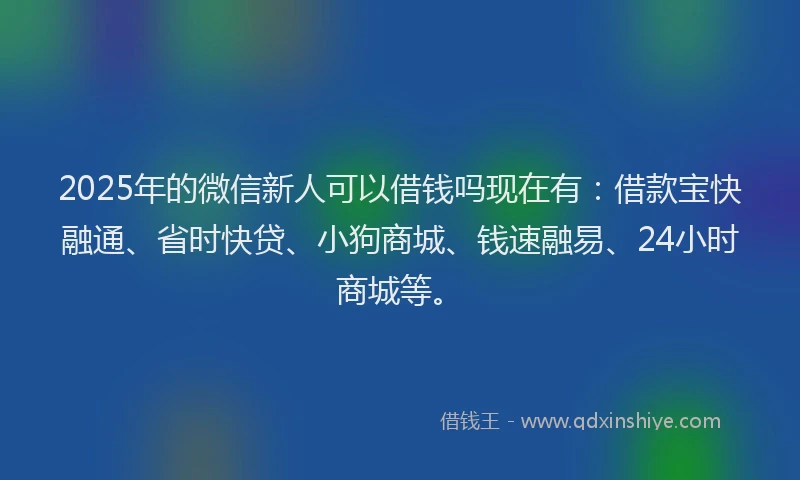 2025年的微信新人可以借钱吗现在有：借款宝快融通、省时快贷、小狗商城、钱速融易、24小时商城等。
