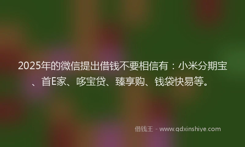 2025年的微信提出借钱不要相信有：小米分期宝、首E家、哆宝贷、臻享购、钱袋快易等。
