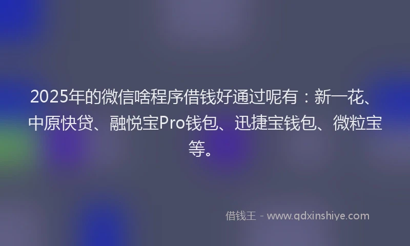 2025年的微信啥程序借钱好通过呢有：新一花、中原快贷、融悦宝Pro钱包、迅捷宝钱包、微粒宝等。