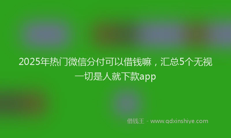 2025年热门微信分付可以借钱嘛，汇总5个无视一切是人就下款app
