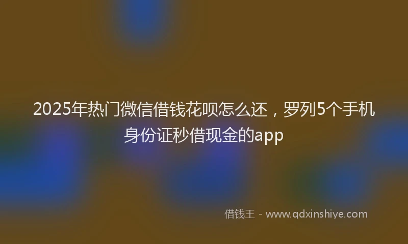 2025年热门微信借钱花呗怎么还，罗列5个手机身份证秒借现金的app