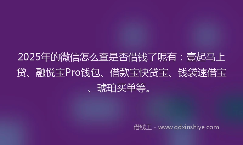 2025年的微信怎么查是否借钱了呢有：壹起马上贷、融悦宝Pro钱包、借款宝快贷宝、钱袋速借宝、琥珀买单等。