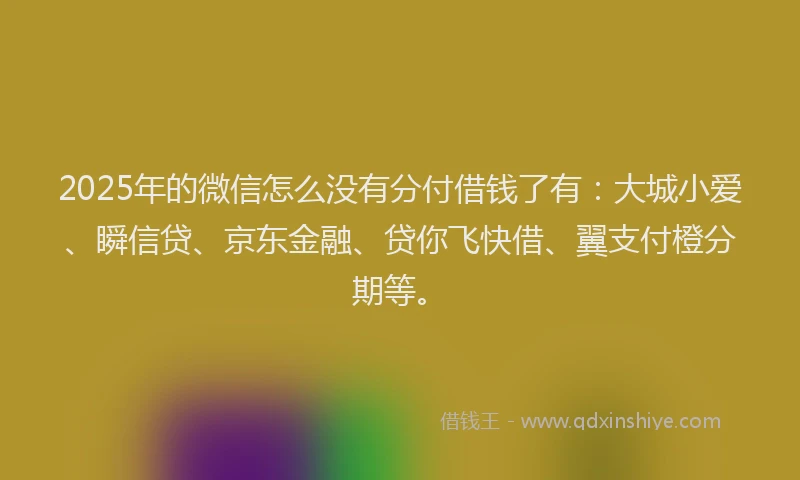 2025年的微信怎么没有分付借钱了有：大城小爱、瞬信贷、京东金融、贷你飞快借、翼支付橙分期等。