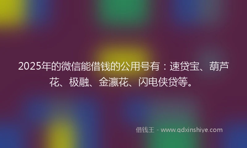 2025年的微信能借钱的公用号有：速贷宝、葫芦花、极融、金瀛花、闪电侠贷等。