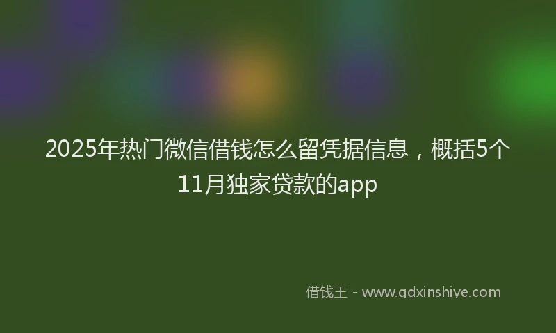 2025年热门微信借钱怎么留凭据信息，概括5个11月独家贷款的app