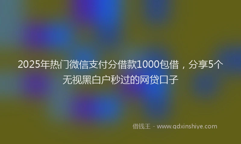 2025年热门微信支付分借款1000包借，分享5个无视黑白户秒过的网贷口子