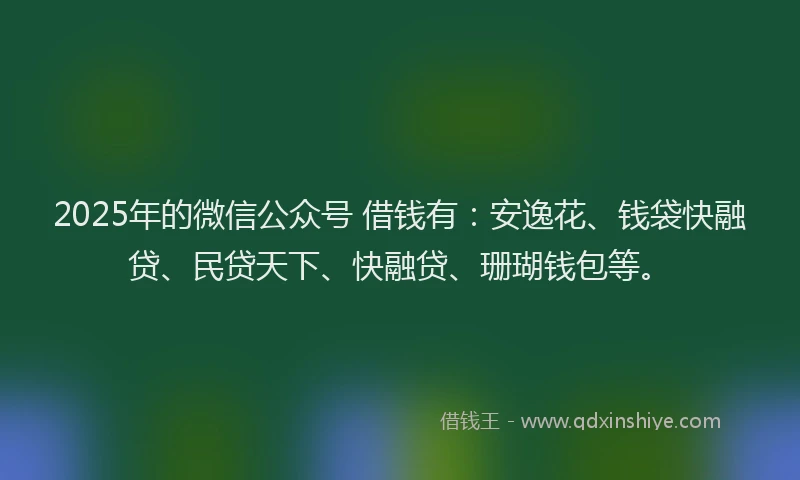 2025年的微信公众号 借钱有：安逸花、钱袋快融贷、民贷天下、快融贷、珊瑚钱包等。