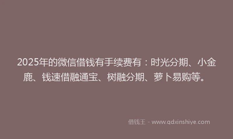 2025年的微信借钱有手续费有：时光分期、小金鹿、钱速借融通宝、树融分期、萝卜易购等。