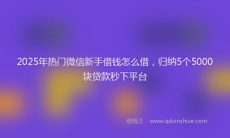 2025年热门微信新手借钱怎么借，归纳5个5000块贷款秒下平台