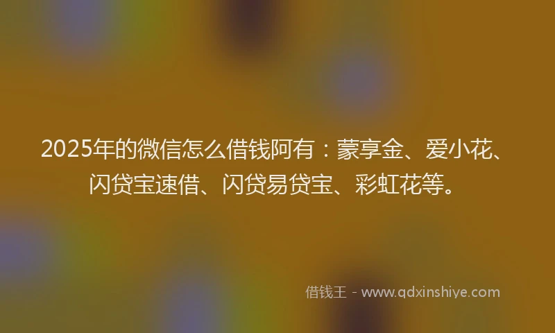 2025年的微信怎么借钱阿有：蒙享金、爱小花、闪贷宝速借、闪贷易贷宝、彩虹花等。